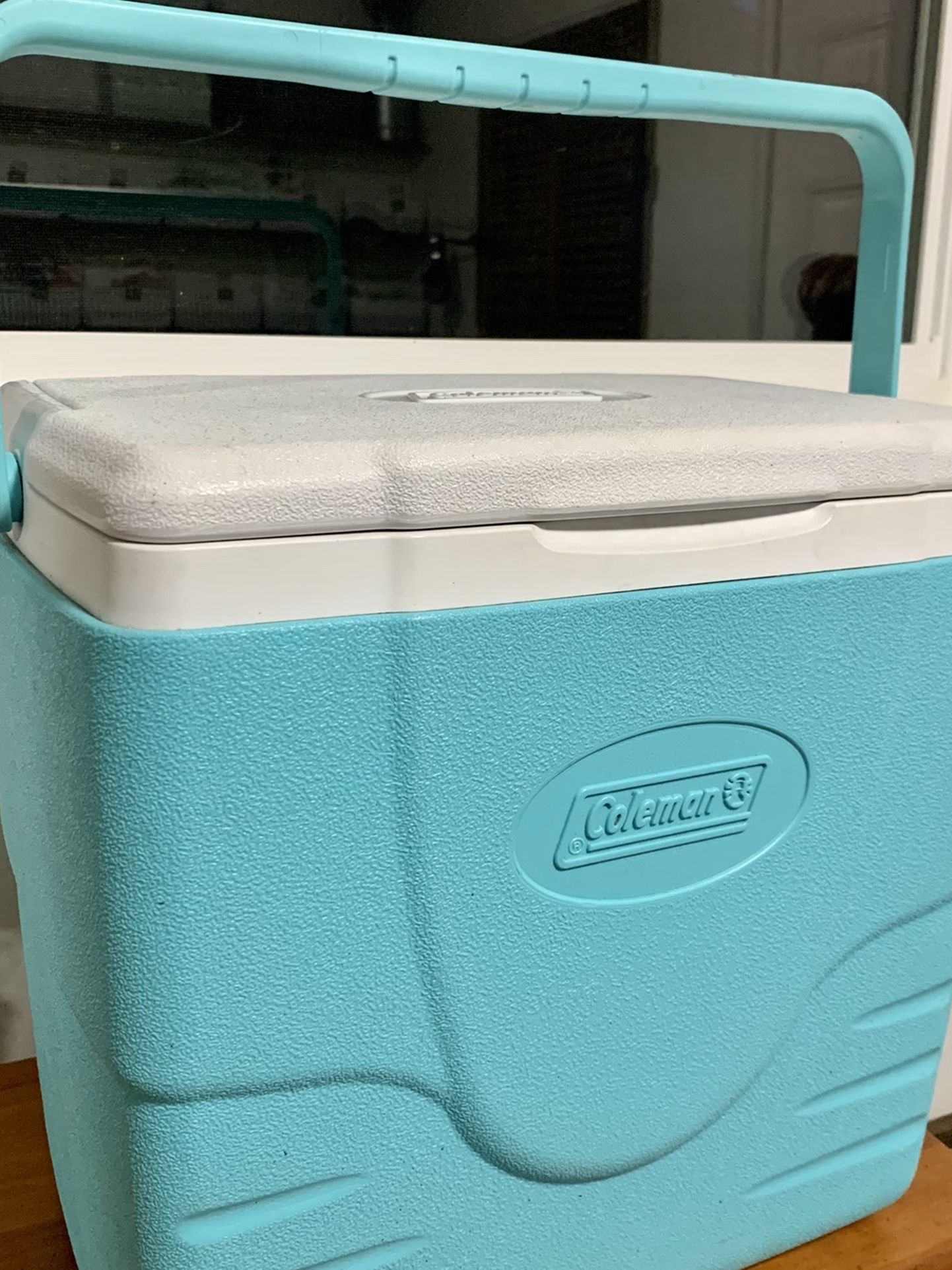 Cute Coleman Cooler! Handheld, Small Personal Sizw