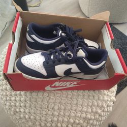 Nike Dunks Size 7