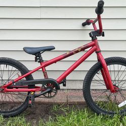 Giant 20” Bike