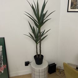 4’ Faux Yucca Tree (with Pot) 