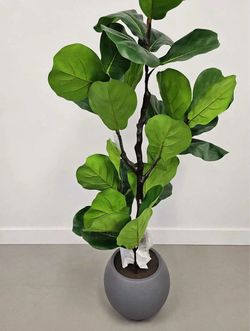 CGH Faux 5' Slim Fig Tree with Planter – Artificial, Indoor