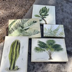 Arizona/succulent wall art