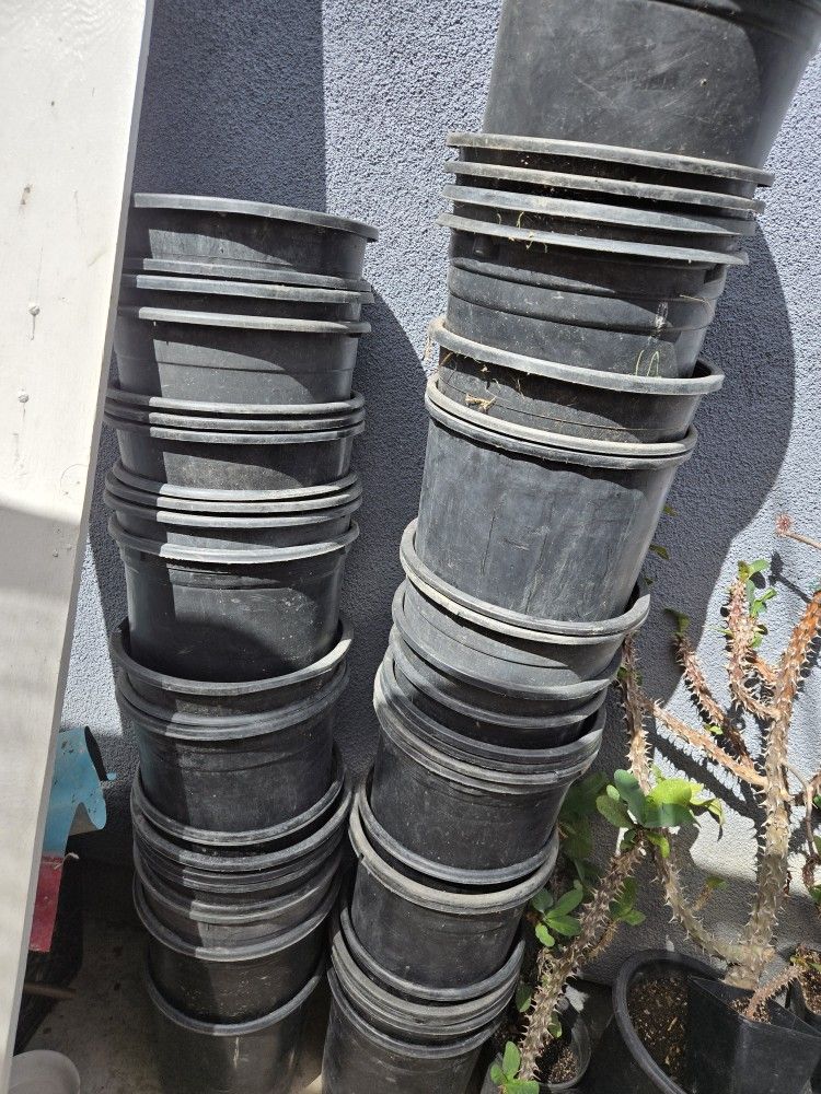Pots 5g