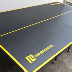Ping Pong Table Tennis