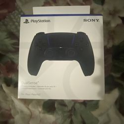 PS5 Controller