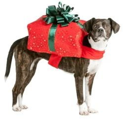 Merry & Bright Collection Pet (Dog) Present Costume - Size XL - NEW