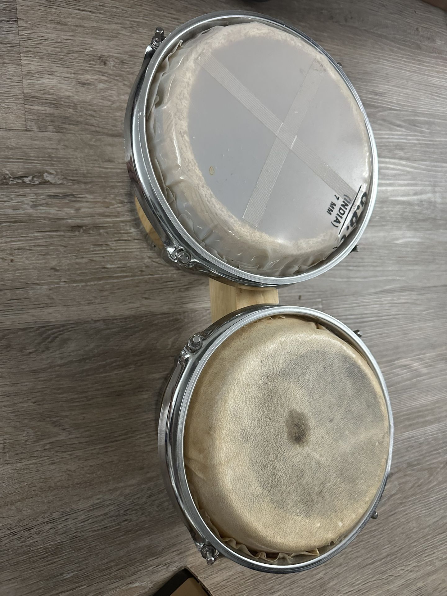 Bongo