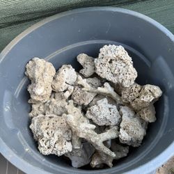 32 Gallon Trash Can Full Live Rick Rubble (can Included) 
