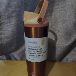 Owala Special Edition Holiday 30 Oz - In Good Company (Rose Gold)