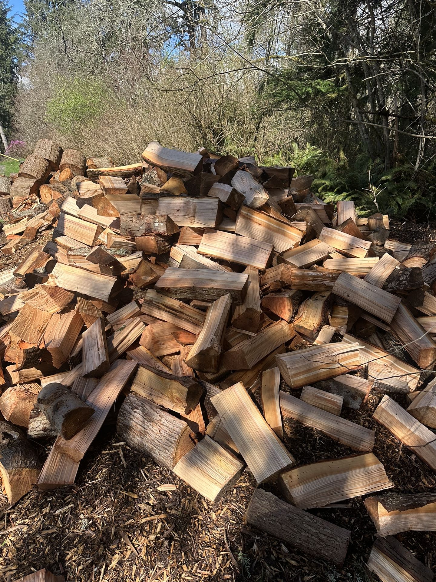 Firewood