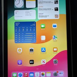 Apple Ipad 10th generation Gps+cellular