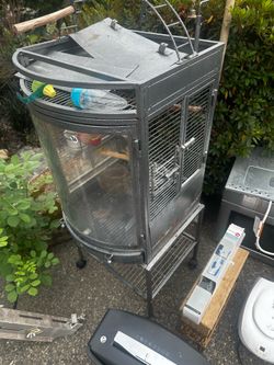 Bird Cage
