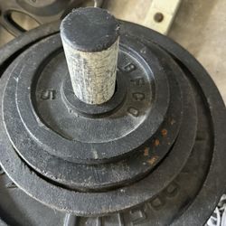 BFCO Vintage 150lbs set Iron Plates