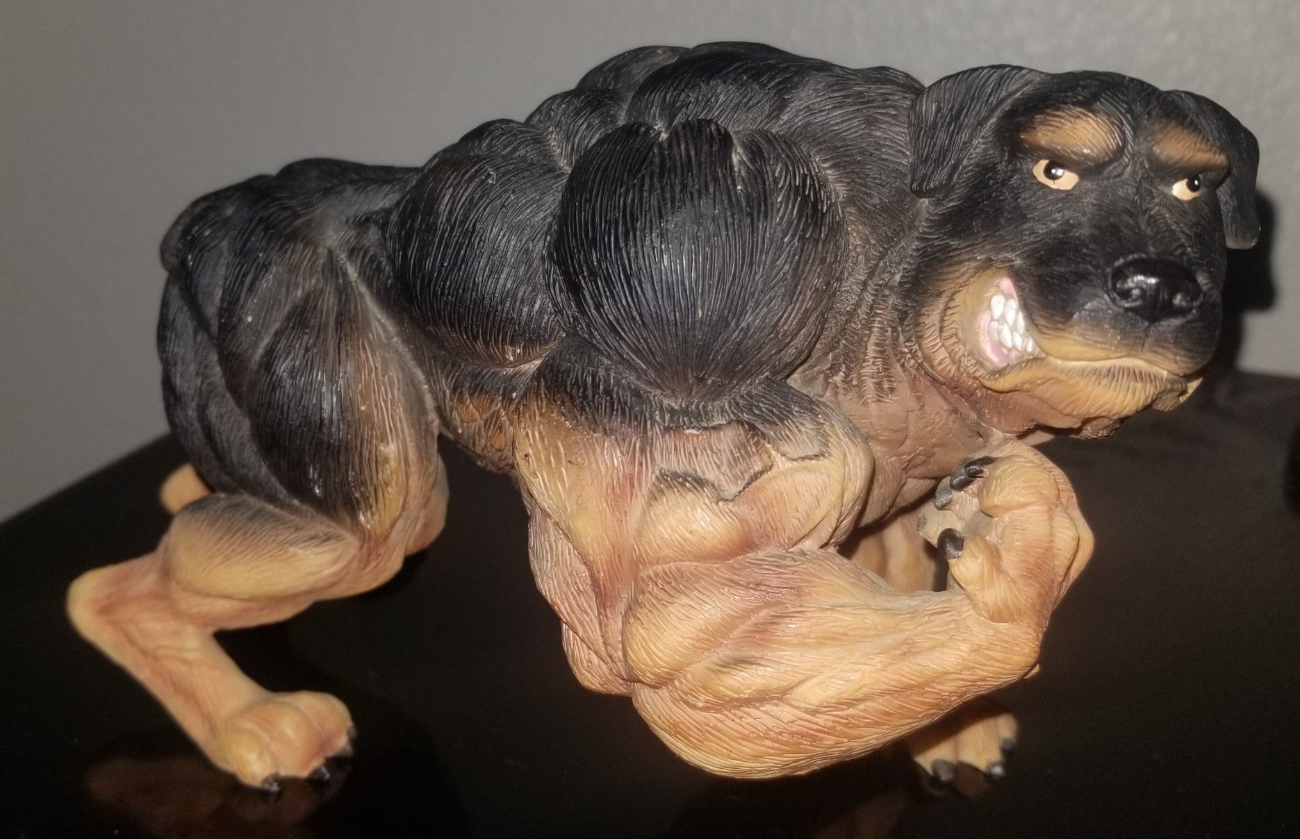 Xtreme muscle Rottweiler porcelain statue.