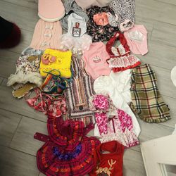 Various Fashionable Dog Clothing