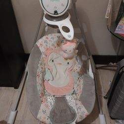 Baby Swing Ingenuity