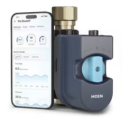 Moen Flo 1”