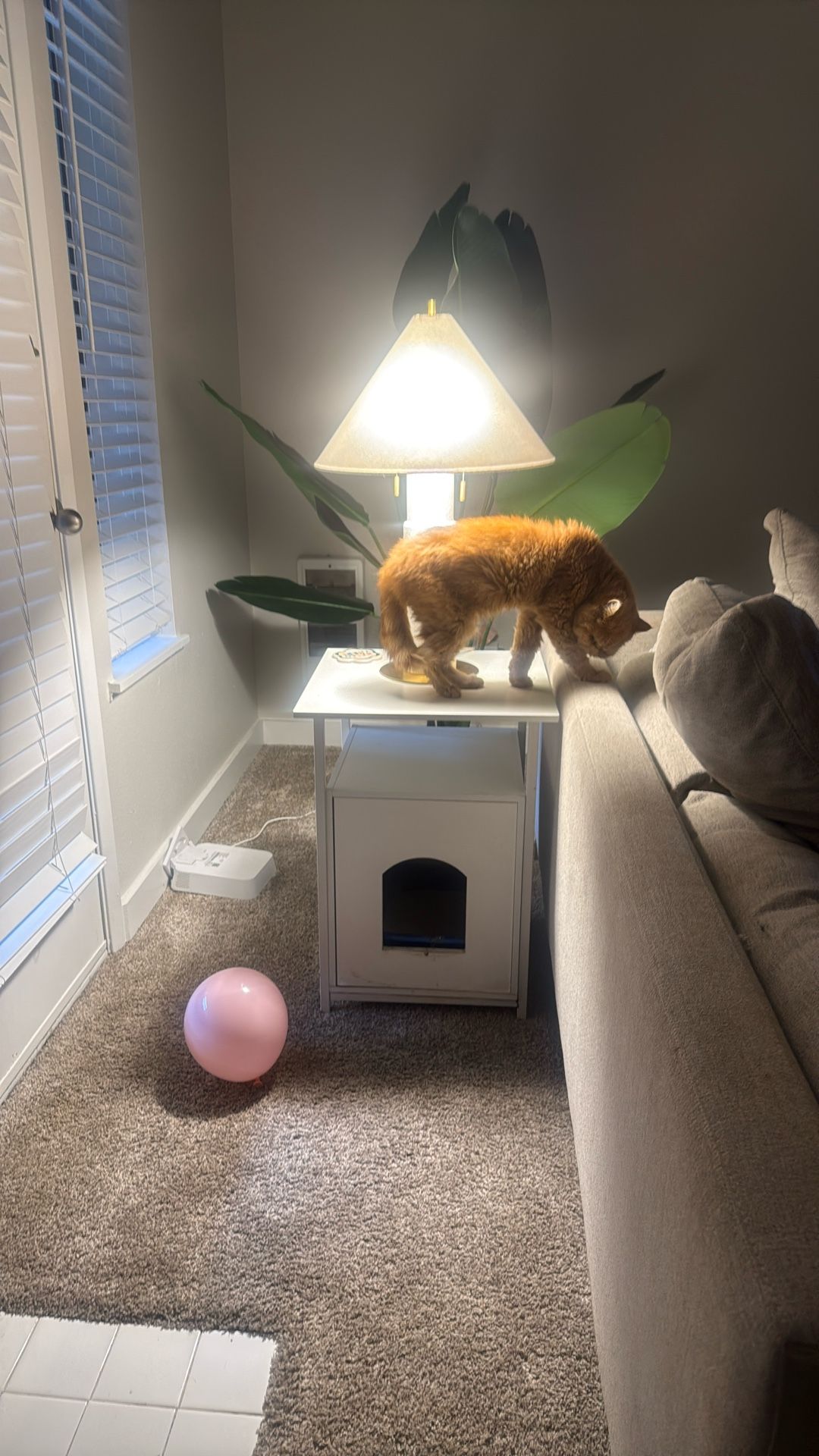 Cat Litter Box Night Stand With Tray