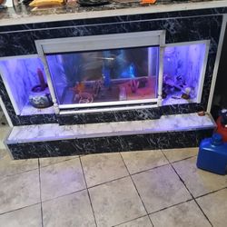 Bar With Fish Tank Inside Homemade