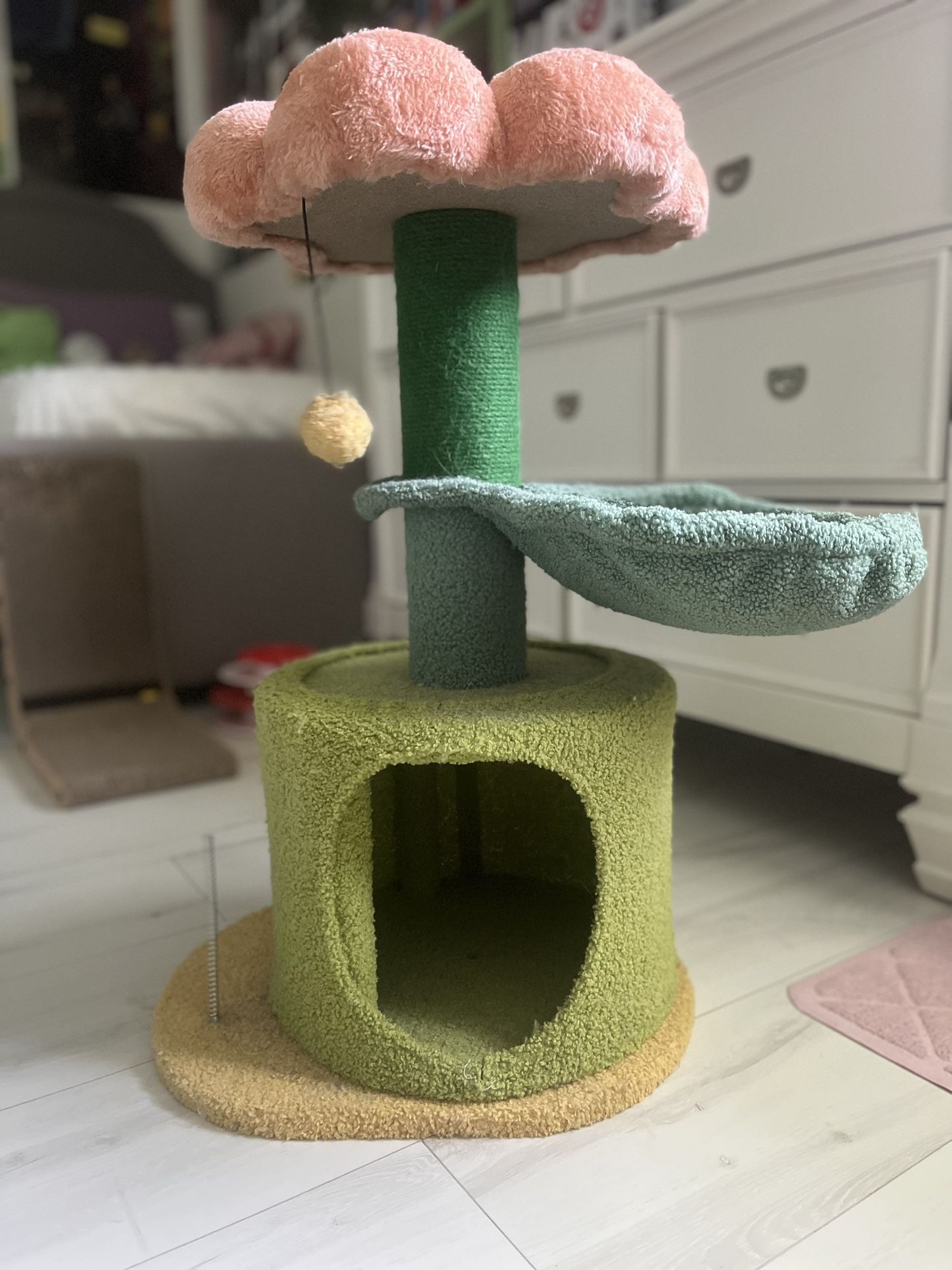 Cat Bed/Scratcher