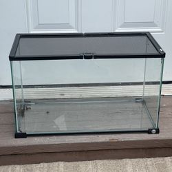 10 Gallon Tank 