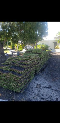 Sod, Grass , Pallet Of Sod, Grama Nueva