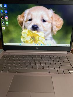 Hp Laptop Pink