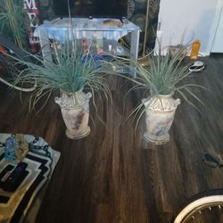 2 Clay Vase Artificial Plants