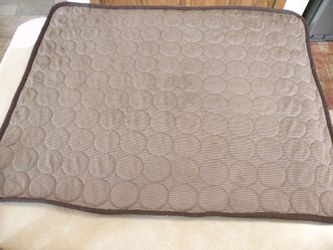 Pet Cooling Mat - Brown