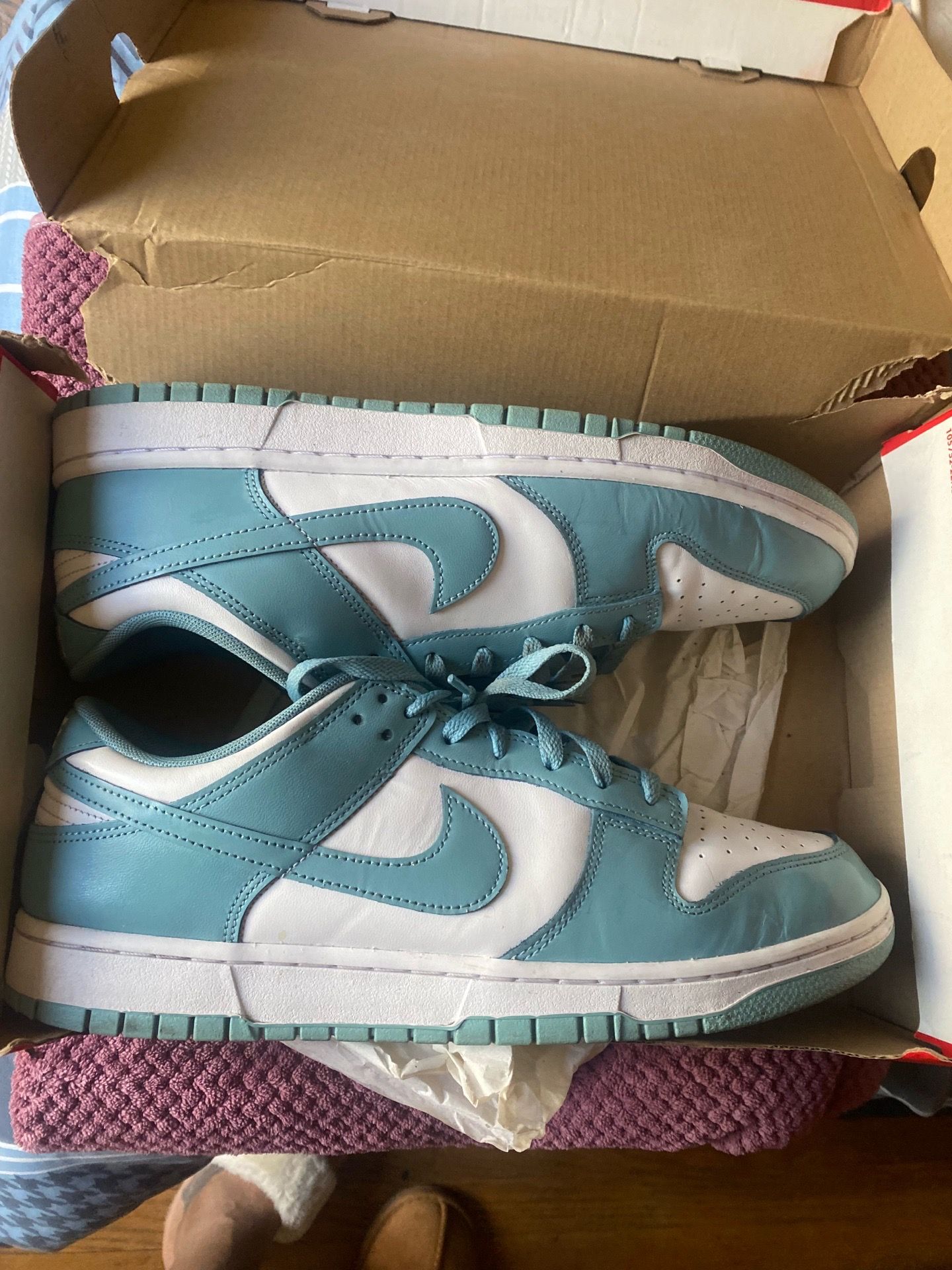 Dunks Baby Blue