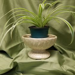 Vintage Houseplant Pot
