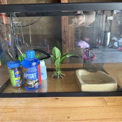 Fish/ Frog Tank