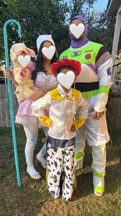 Toy Story Family Costume