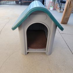 Dog House 
