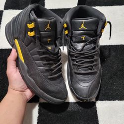 Air jordan 12 black taxi