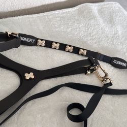 Beautiful Leash For Dog Size M 