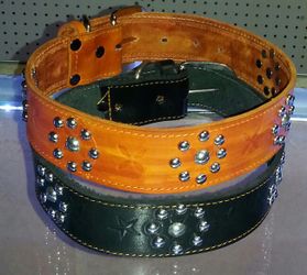 Collars for dogs