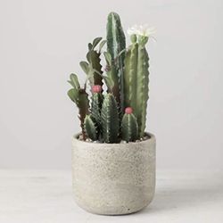 Sullivans Artificial Flowering Cactus Arrangement In Distressed Cement Pot 10.”