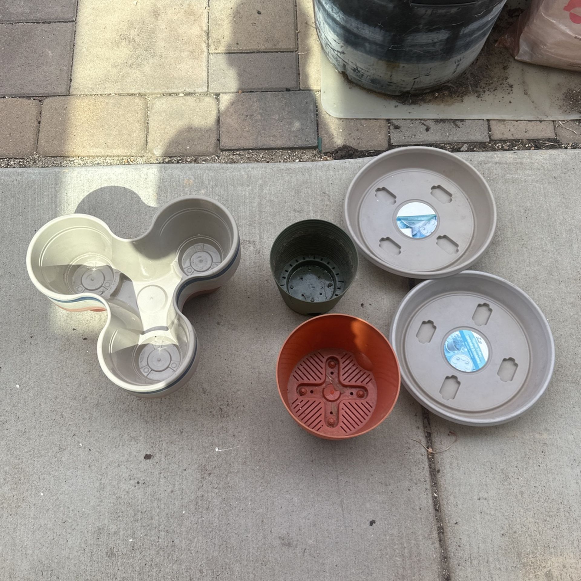 plant pot 