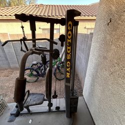 Glolds Gym 