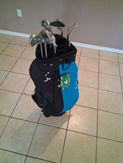 Mint ping irons and new 14 club slot cart bag
