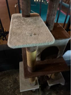 Cat tree  house
