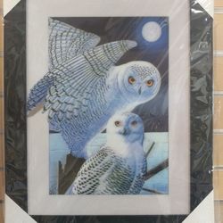 3-D picture _ 2 White Owls - $19.99 ( NEW ) black frame