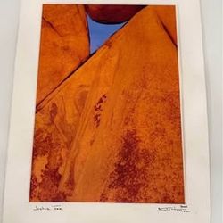 Nicola Troccoli Fine Art Photograph – Joshua Tree – Desert Abstract Print