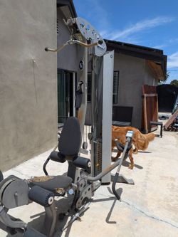 Hoist Home Gym