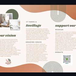 Items Needed Equine Therapy Program In Need Non Profit 