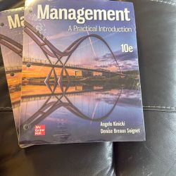 Management A Practical Introduction 10E