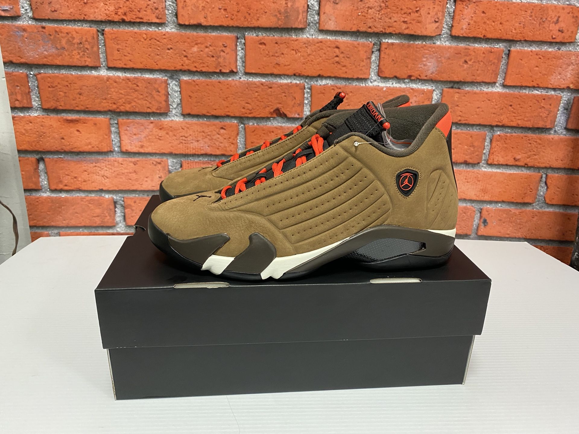 Jordan 14 size 13 sales