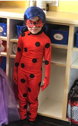Mysterious Lady Bug Costume