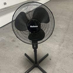 Standing Fan 